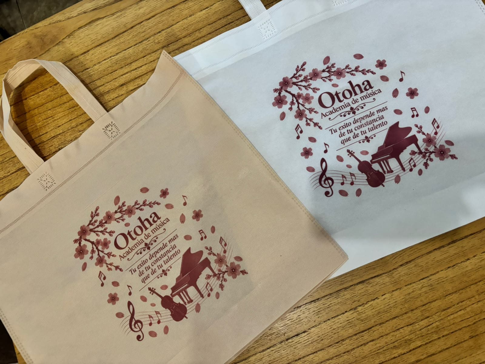 Bolsa de Friselina Otoha